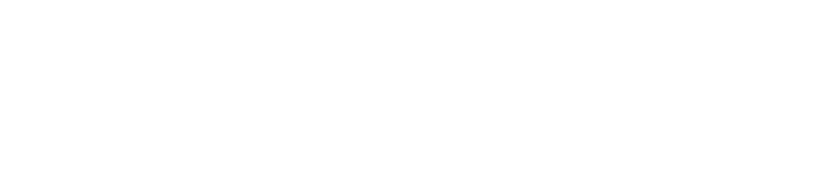 Logo StreamData en blanco